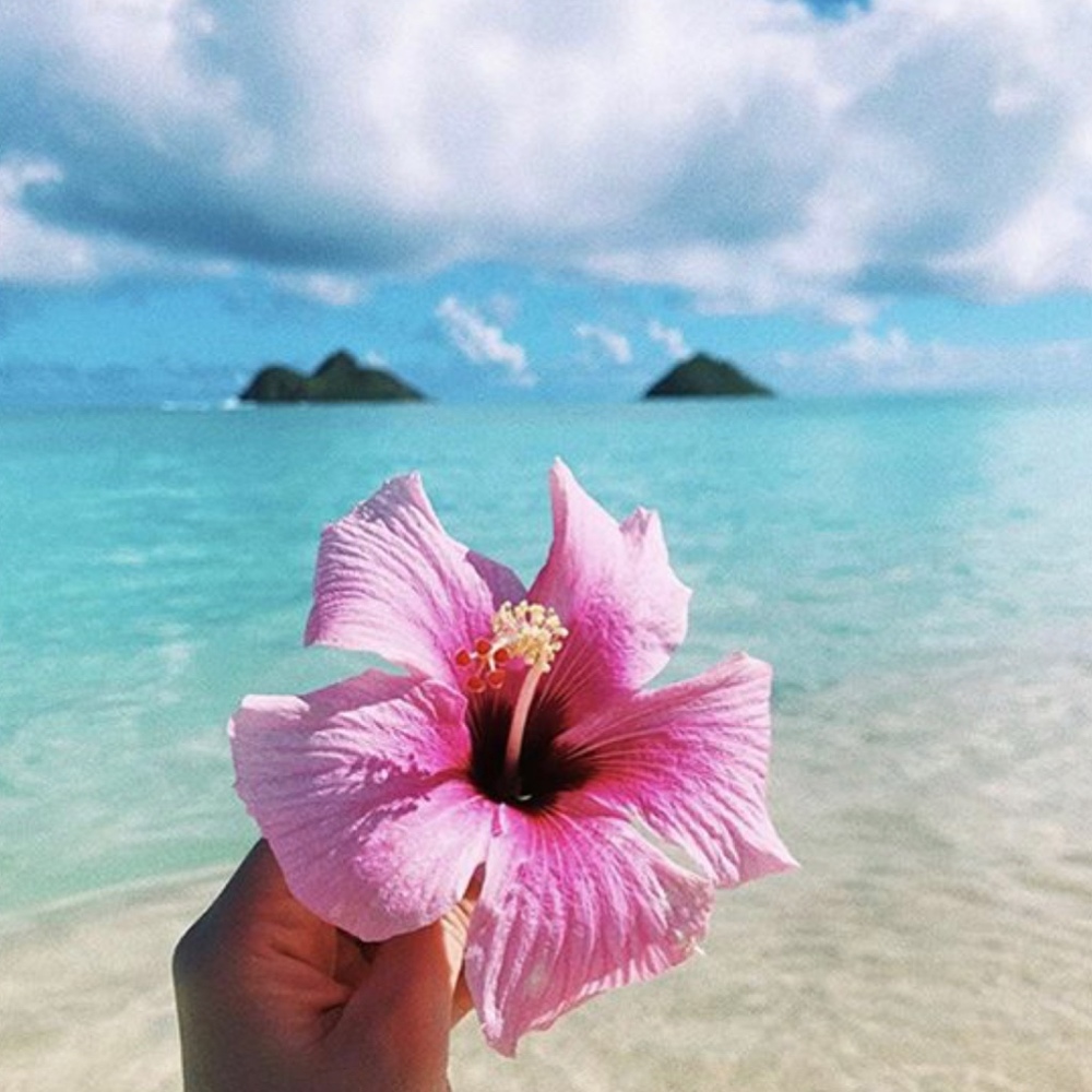 Meet your Posher, Liesel